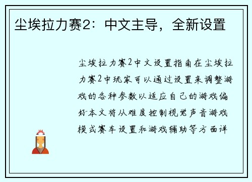尘埃拉力赛2：中文主导，全新设置