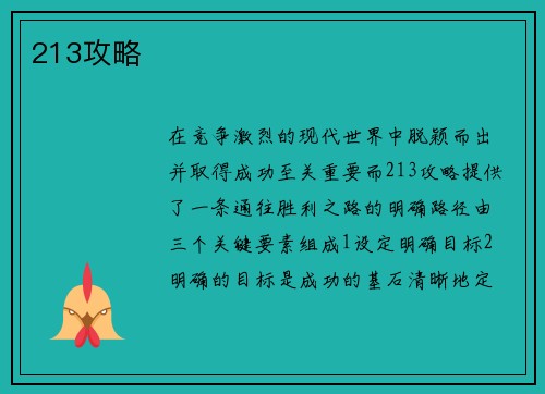 213攻略